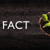 Website掲載＜AGRI FACT ＞農業、食にまつわる噂を検証するサイト
